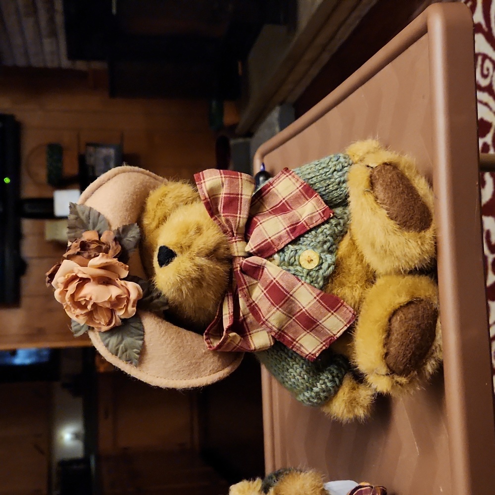 Boyd Bear Mrs Trumbull